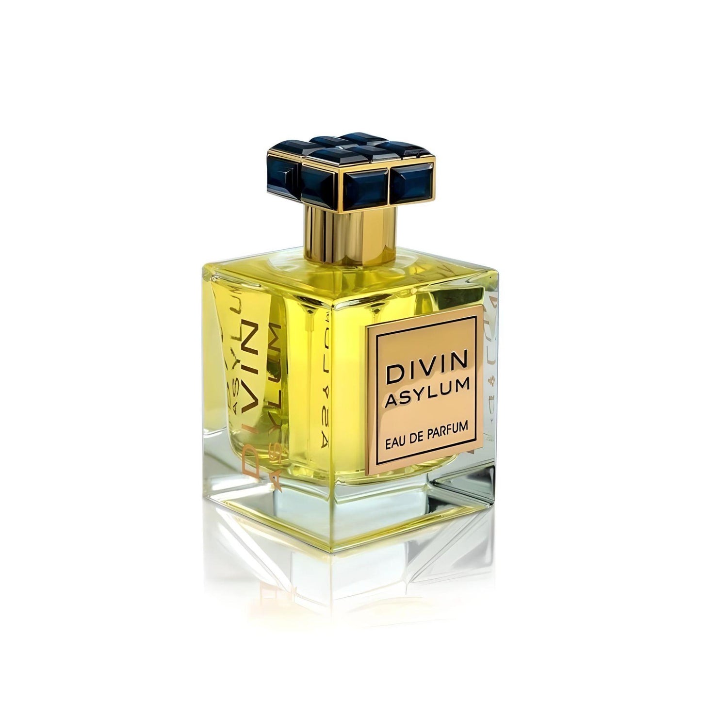 Divin Asylum 100ml EDP by FA Paris