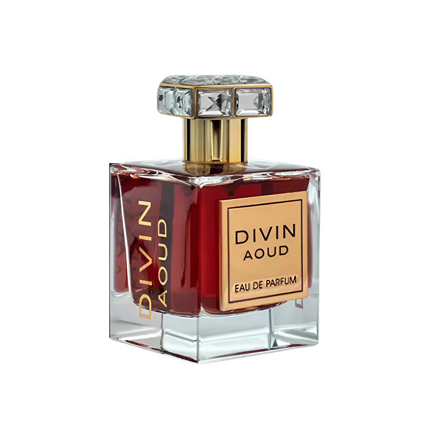 Fragrance World - Divin Aoud - 100ml
