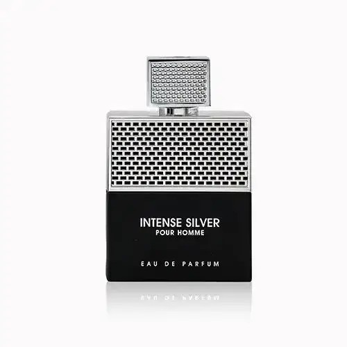 Intense Silver  pour homme 100ml EDP by fragrance world