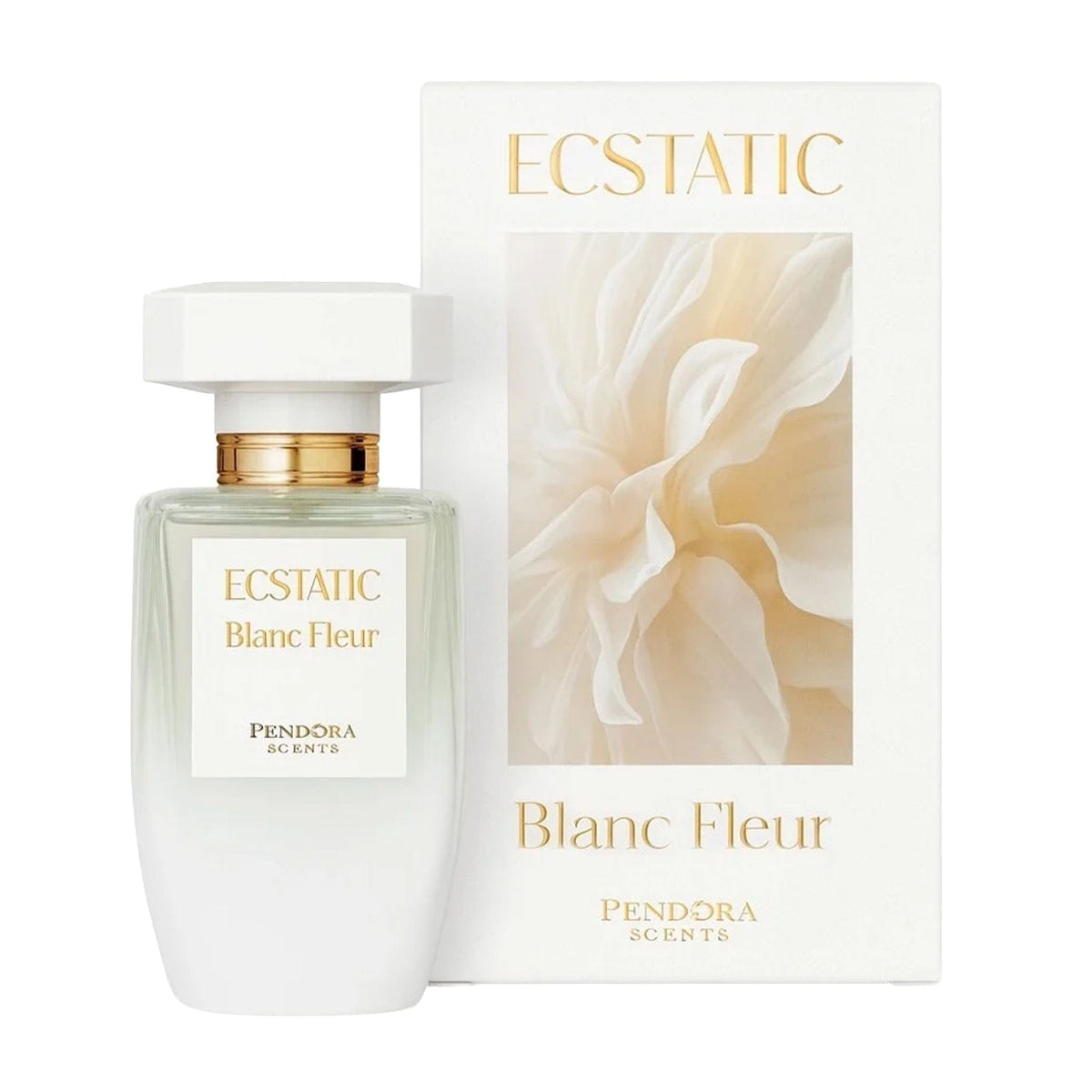 Blanc Fleur Ecstatic- Pendora